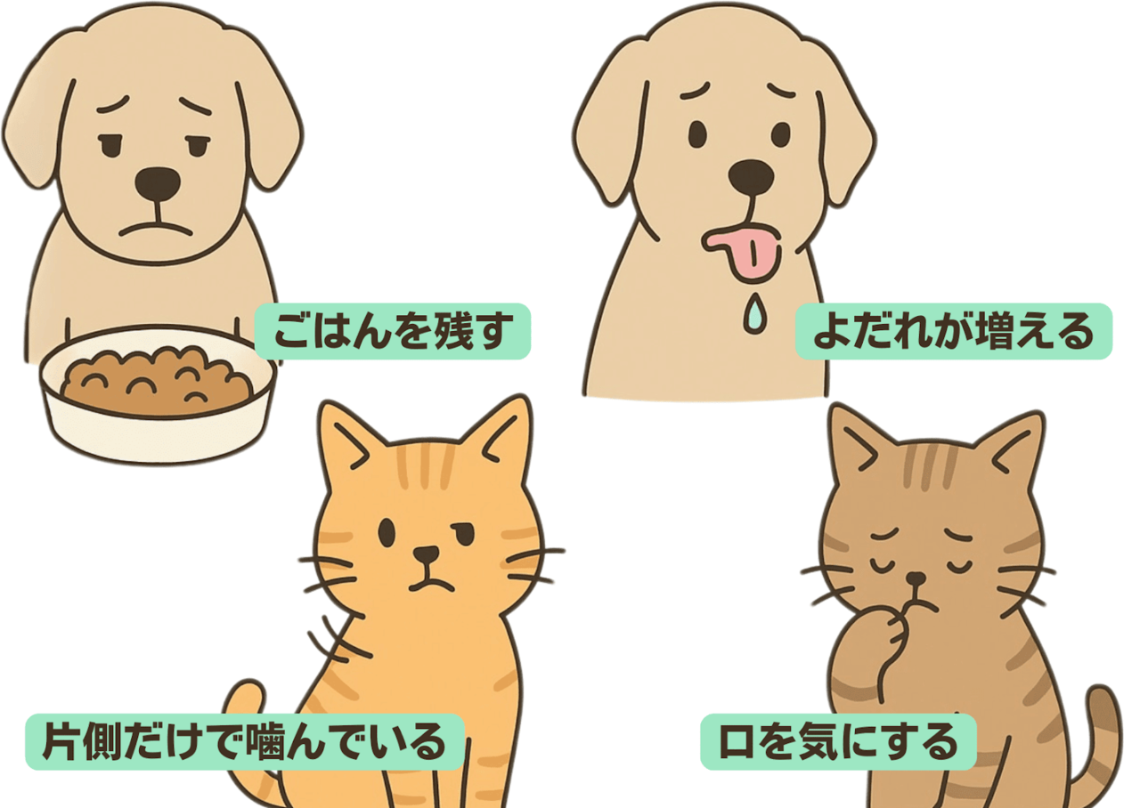 早めの受診が必要な例イメージ：犬がごはんを残す／犬のよだれが増える／猫が片側だけで噛んでいる／猫が口元をしきりに気にする