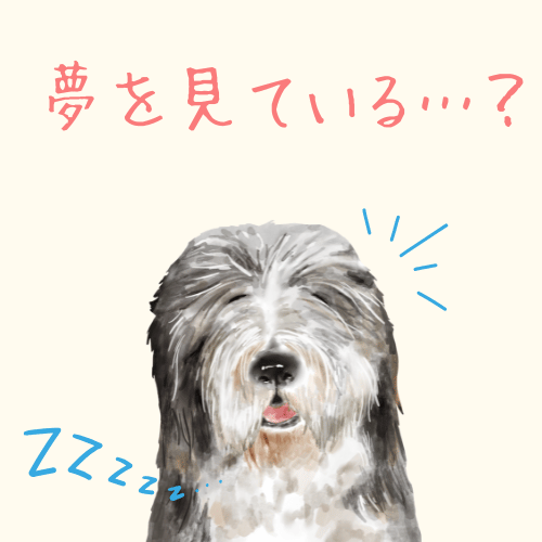 アンモナイトのように丸まって眠る猫のイラスト