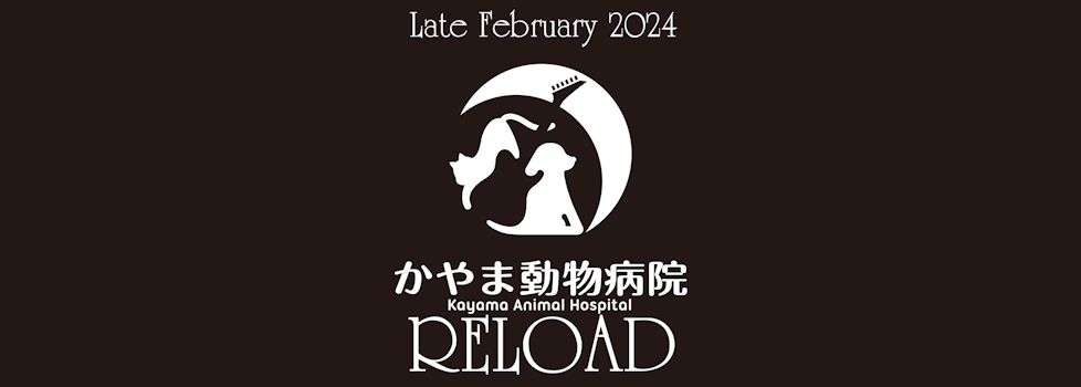 RELOAD