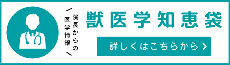 獣医学知恵袋