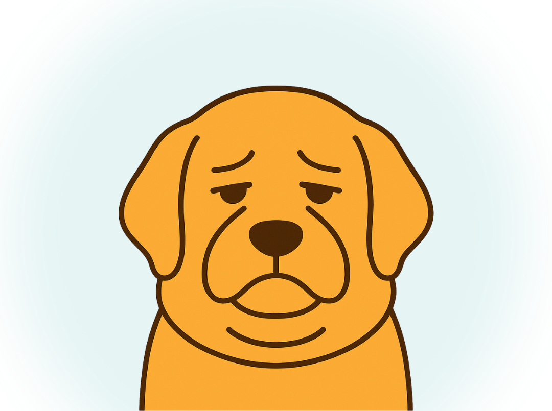 犬の元気がなさそうに見える、老けて見えるのが甲状腺機能低下症の特徴