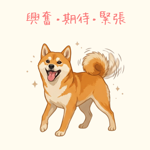 アンモナイトのように丸まって眠る猫のイラスト