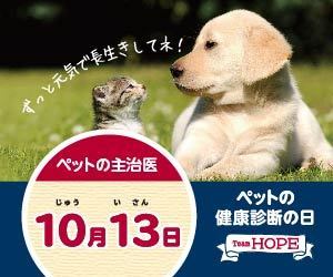 ペットの健康診断の日