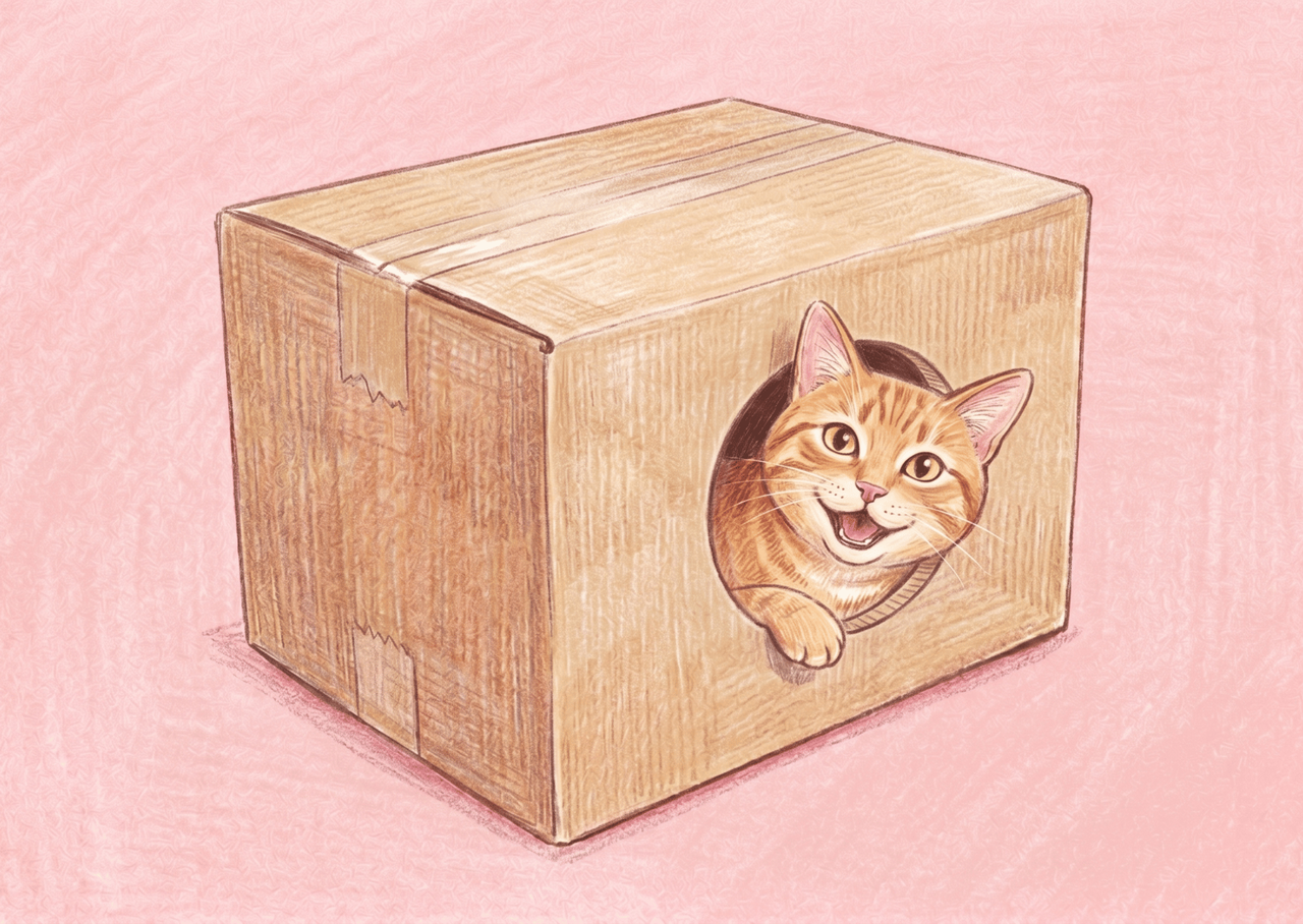 段ボールの側面に穴をあけて猫が隠れられるようにしたイラスト