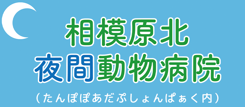 相模原北夜間動物病院