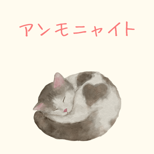アンモナイトのように丸まって眠る猫のイラスト