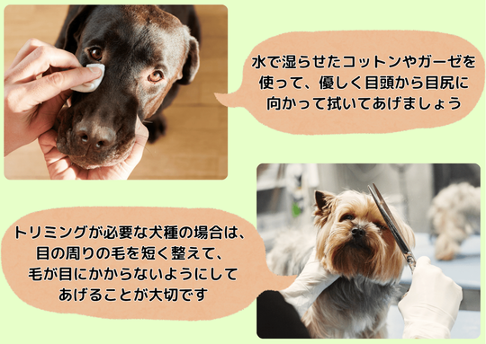 目の健康を守る予防法