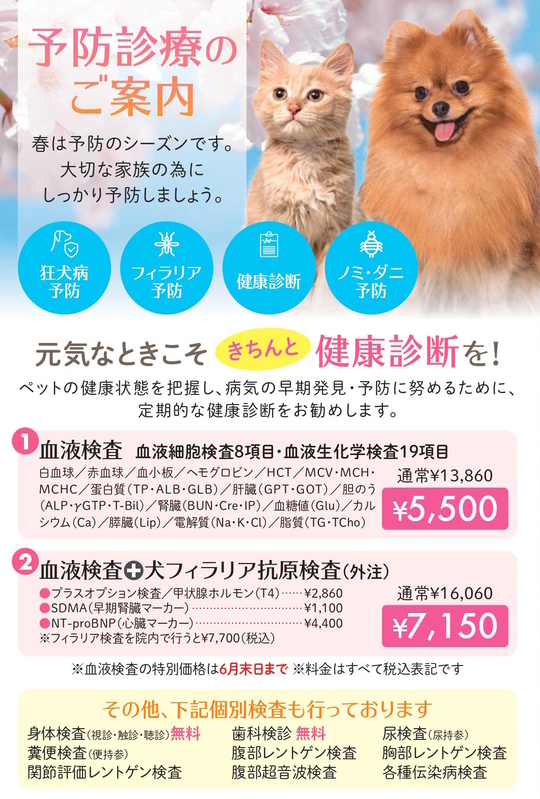 健康診断キャンペーン