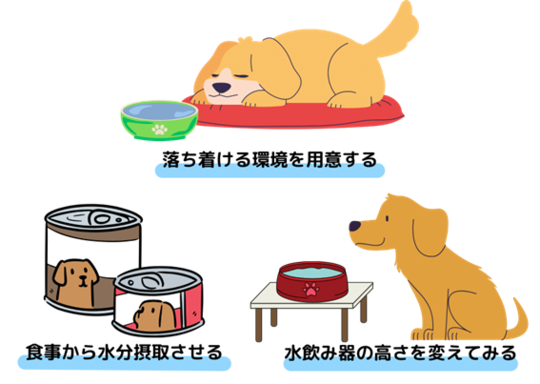 水を飲まない犬に水分摂取させる方法