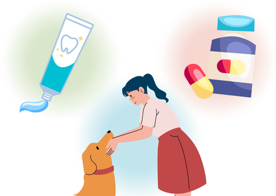 犬のデンタルケアイメージ図:歯磨きジェル、サプリメント、お口の周りを触って慣れておく