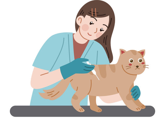獣医師が猫にワクチン接種をしているイラスト。
