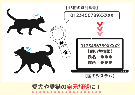 マイクロチップによる犬や猫の身元証明を説明する図。チップを埋め込まれた犬と猫のシルエットが描かれ、リーダーで識別番号を読み取る流れが示されている。読み取られた15桁の識別番号がデータベースに登録され、飼い主の情報と紐づく仕組みが説明されている。